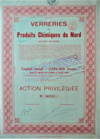 S.A. Verreries Et Produits Chimiques Du Nord - Act.priviligiée (1920) - Industrial