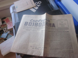 Slobodna Vojvodina 1951 - Scandinavische Talen