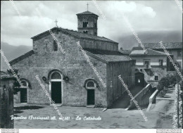 Bz42  Cartolina Ferentino La Cattedrale Provincia Di Frosinone Lazio - Frosinone