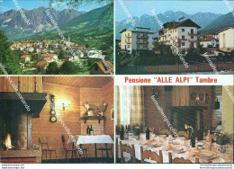 Bz37  Cartolina Pensione Alle Alpi Tambre Tambre D'alpago Belluno Veneto - Belluno