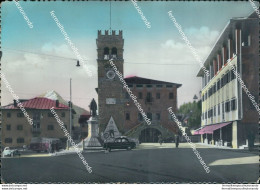 Bz77 Cartolina Pieve Di Cadore Piazza Tiziano Provincia Di Belluno Veneto - Belluno