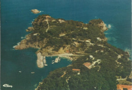 Bormes-Les-Mimosas - Vue Panoramique Aérienne - Le Cap Bénat - (P) - Bormes-les-Mimosas