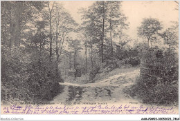 AAMP9-93-0738 - LE RAINCY Pittoresque - Paysage De La Montagne Savart - Le Raincy