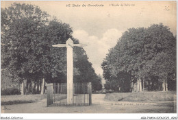 ABBP3-94-0259 - Bois De GROSBOIS - L'etoile De Bellevue - Autres & Non Classés