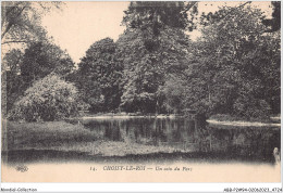 ABBP2-94-0131 - CHOISY-LE-ROI - Un Coin Du Parc - Choisy Le Roi