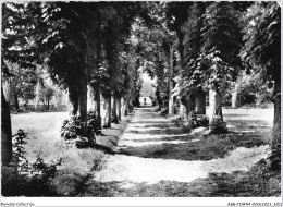 ABBP11-94-1025 - VALENTON - Les Charmilles - Allée Centrale - Valenton