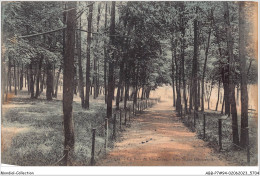 ABBP7-94-0621 -  BOIS-DE-VINCENNES - Vers Le Lac Daumesnil - Vincennes