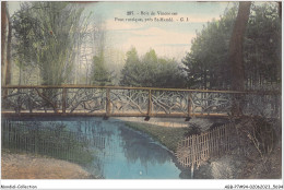 ABBP7-94-0616 - BOIS-DE-VINCENNES - Pont Rustique - Pres SAINT-MANDE - Vincennes