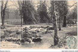 ABBP6-94-0492 - BOIS-DE-VINCENNES - Cascade Du Lac Daumesnil  - Vincennes