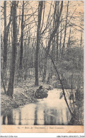 ABBP6-94-0470 - BOIS-DE-VINCENNES - Une Cascade - Vincennes