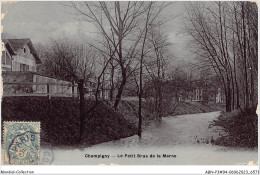 ABNP3-94-0214 - CHAMPIGNY - Le Petit Bras De La Marne - Champigny Sur Marne