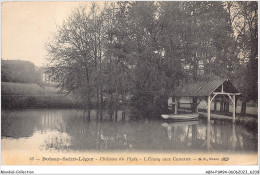 ABNP1-94-0033 - BOISSY-SAINT-LEGER - Chateau Du Piple - L'etang Aux Canard - Boissy Saint Leger