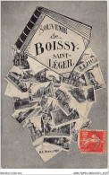 ABNP1-94-0032 - Souvenir De BOISSY-SAINT-LEGER - Boissy Saint Leger