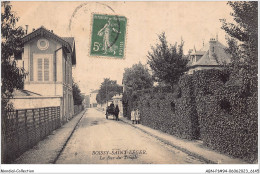 ABNP1-94-0001 - BOISSY-SAINT-LEGER - La Rue Du Temple - Boissy Saint Leger