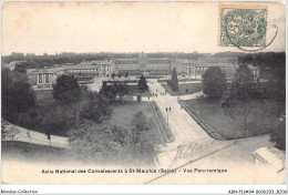 ABNP11-94-1033 - Asile-national Des Convalescents - A SAINT-MAURICE - Vue Panoramique - Saint Maurice