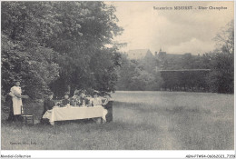 ABNP7-94-0608 - Sanatorium MINORET - Diner Champetre - Ivry Sur Seine