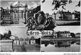 ABNP6-94-0471 - Chateau De GROSBOIS - Divers Aspects Du Chateau - Other & Unclassified