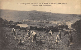 CPA 15 ARRACHAGE DE LA GENTIANE ET VUE DE RIOM ES MONTAGNE - Andere & Zonder Classificatie