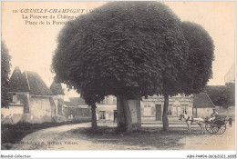 ABNP4-94-0371 - COEUILLY CHAMPIGNY - La Poterne Du Chateau - Place De La Fontaine - Champigny Sur Marne