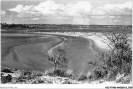 ABZP7-85-0542 - ENVIRONS DE TALMONT - La Guittiere - Talmont Saint Hilaire