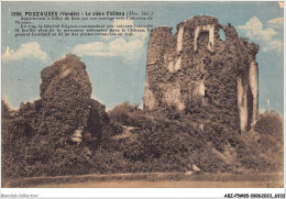 ABZP5-85-0413 - POUZAUGES - Le Vieux Chateau  - Pouzauges