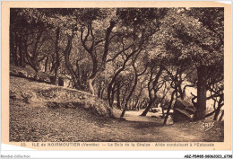 ABZP5-85-0346 - ILE NOIRMOUTIER - Le Bois De La Chaize - Ile De Noirmoutier