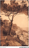 ABZP4-85-0336 - ILE DE NOIRMOUTIER - Rochers Du Bois De La Chaise  - Ile De Noirmoutier