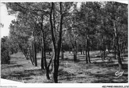 ABZP4-85-0302 - ILE DE NOIRMOUTIER - Le Bois De Sapins - Ile De Noirmoutier