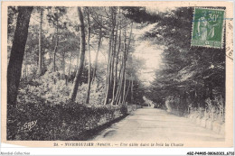 ABZP4-85-0303 - ILE DE NOIRMOUTIER - Une Allée Dans Les Bois La Chaize - Ile De Noirmoutier