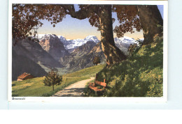 10546097 Braunwald GL Braunwald Braunwald - Andere & Zonder Classificatie