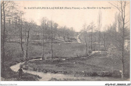 AFQP9-87-0856 - SAINT-SULPICE-LAURIERE - Le Rivallier à La Papeterie  - Saint Sulpice Les Feuilles