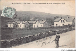 AFQP9-87-0855 - SAINT-SULPICE - Les Maisonnettes Du P O Et La Montagne De L'auge  - Saint Sulpice Les Feuilles