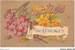 AFQP8-87-0719 - Amitiés De LIMOGES  - Limoges