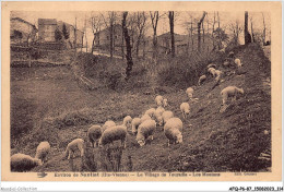 AFQP6-87-0570 - Environ De NANTIA - Le Village De Touradis - Les Moutons  - Nantiat