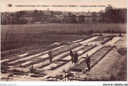 AFQP6-87-0531 - LADIGNAC-LE-LONG - Pisciculture De Gaillardie - Quelques Bassins à Truites - Autres & Non Classés