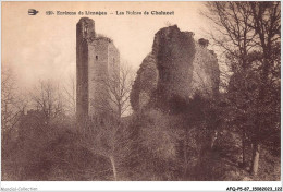 AFQP5-87-0483 - Environs De LIMOGES - Les Ruines De Chalucet  - Limoges