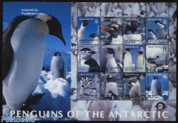 British Antarctica 2003 Penguin 12v M/s, Mint NH, Nature - Birds - Penguins - Autres & Non Classés