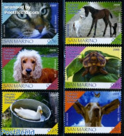 San Marino 2009 Domestic Animals 6v, Mint NH, Nature - Animals (others & Mixed) - Birds - Butterflies - Cats - Dogs - .. - Ongebruikt