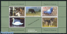 Kosovo 2006 Fauna 5v M/s, Mint NH, Nature - Animals (others & Mixed) - Birds - Cattle - Dogs - Sonstige & Ohne Zuordnung