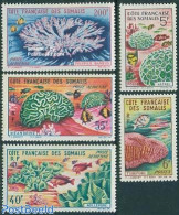 French Somalia 1963 Corals 5v, Mint NH, Nature - Fish - Peces