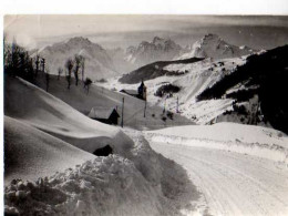 73 ST FRANCOIS LONGCHAMP , Carte Photo Jo Leger - Altri & Non Classificati