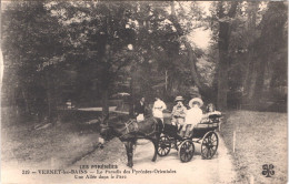 FR66 VERNET LES BAINS - Mtil 319 - Une Allée Du Parc - âne Ou Mulet Attelée - Animée - Belle - Other & Unclassified