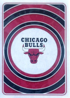 152 Logo - Chicago Bulls - Panini NBA Basketball 2023-2024 Sticker Vignette - Other & Unclassified