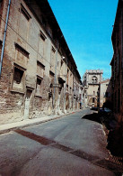 VILLENEUVE-lès-AVIGNON : Musée De L'Hospice Et L'Eglise De La Collégiale - Villeneuve-lès-Avignon