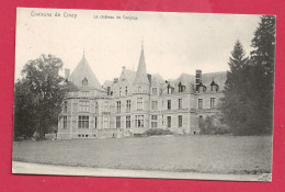 C.P. Conjoux  =  Le  Château - Ciney