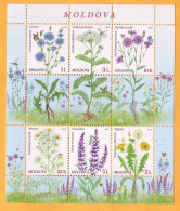 2016  Moldova Moldavie Moldau.  Wildflowers Of Moldova  Sheet. 6v Mint - Moldavië