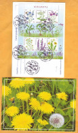 2016  Moldova Moldavie  FDC  Wildflowers Of Moldova, Flowers, Insects, Bees, Butterflies, Beetles - Moldavië