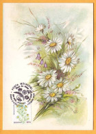 2016  Moldova Moldavie Moldau. MAXICARD  Wildflowers Of Moldova Bee, Flowers, Chamomile - Moldavie