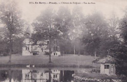 PRESLY                            Chateau  De Préfond . Vue Du Parc - Autres & Non Classés