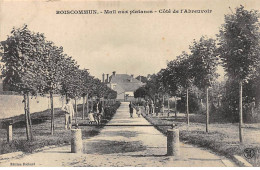 BOISCOMMUN - Mail Aux Platanes - Côté De L'Abreuvoir - Très Bon état - Other & Unclassified